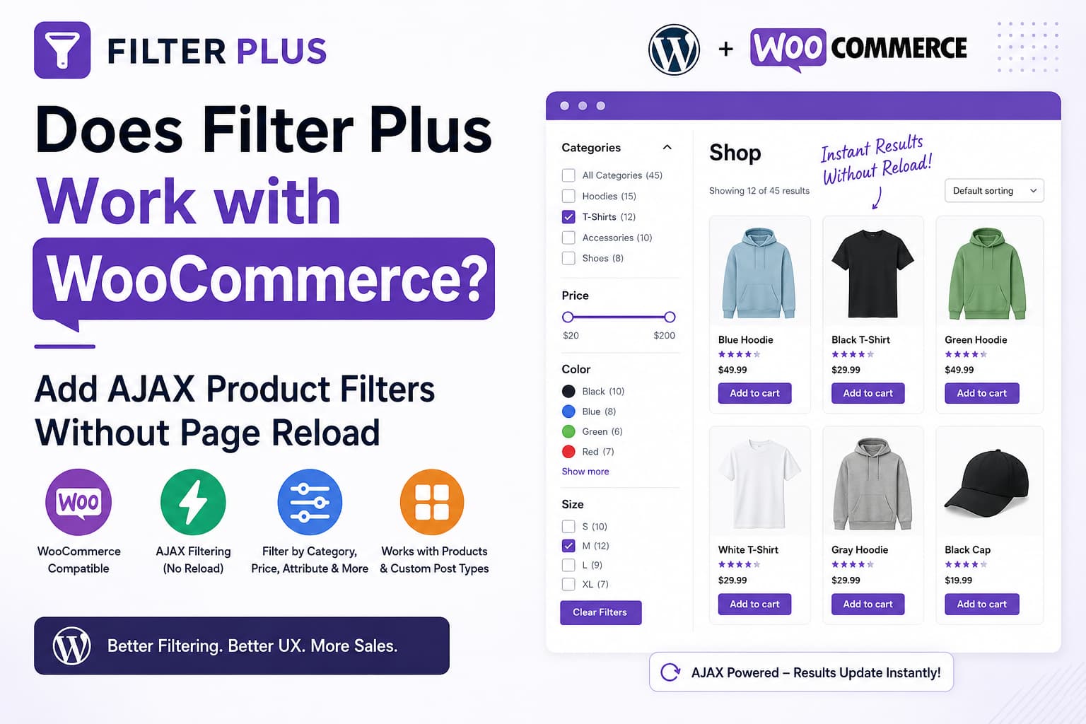 WordPress WooCommerce Filter Plus Infographic